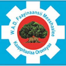 Oromia Leasing Finance logo